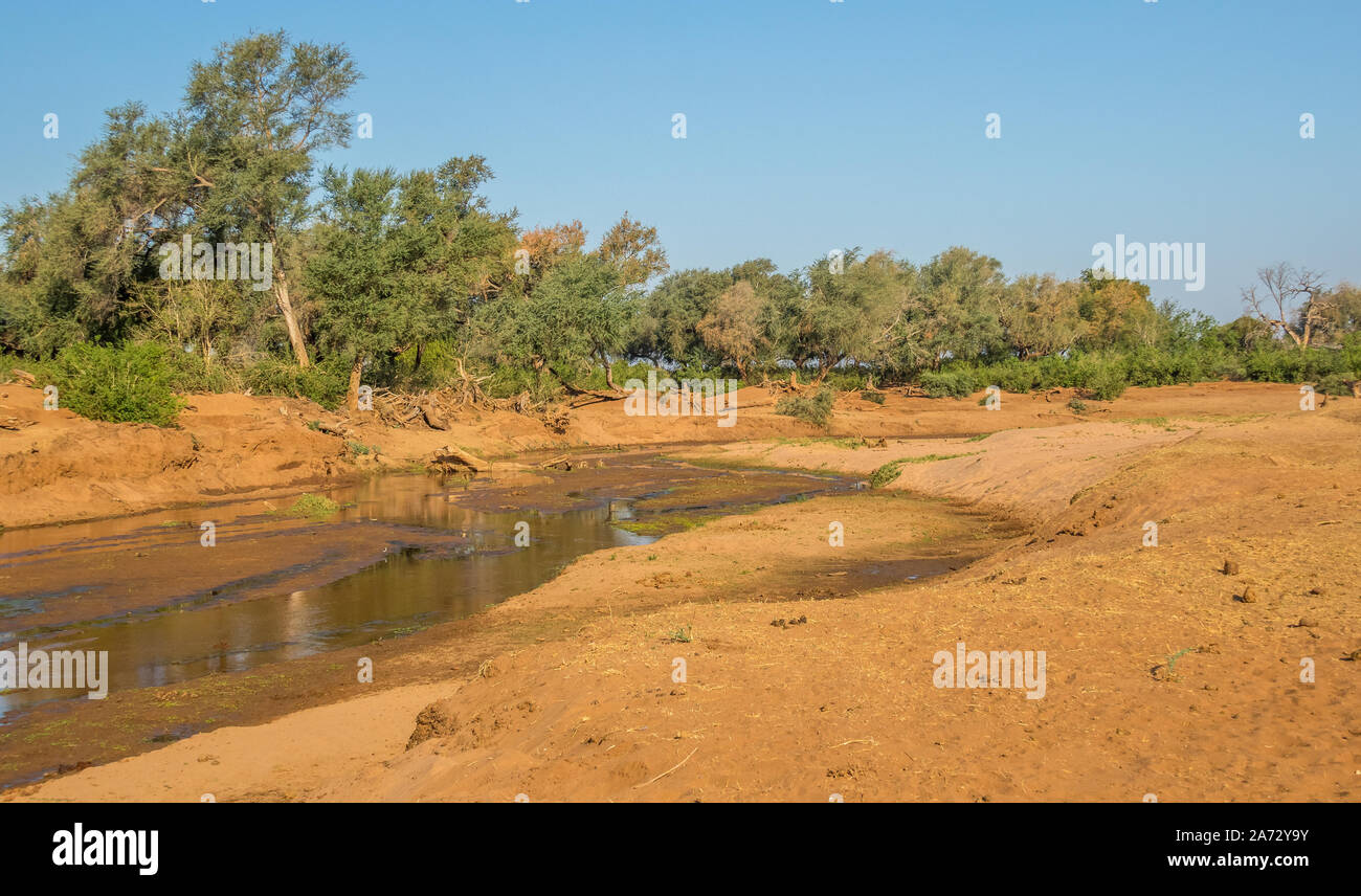 Niedrige Wasserstände in den Luvuvhu Fluss in der Krüger Nationalpark in Südafrika in der Regenzeit Bild im Querformat Stockfoto