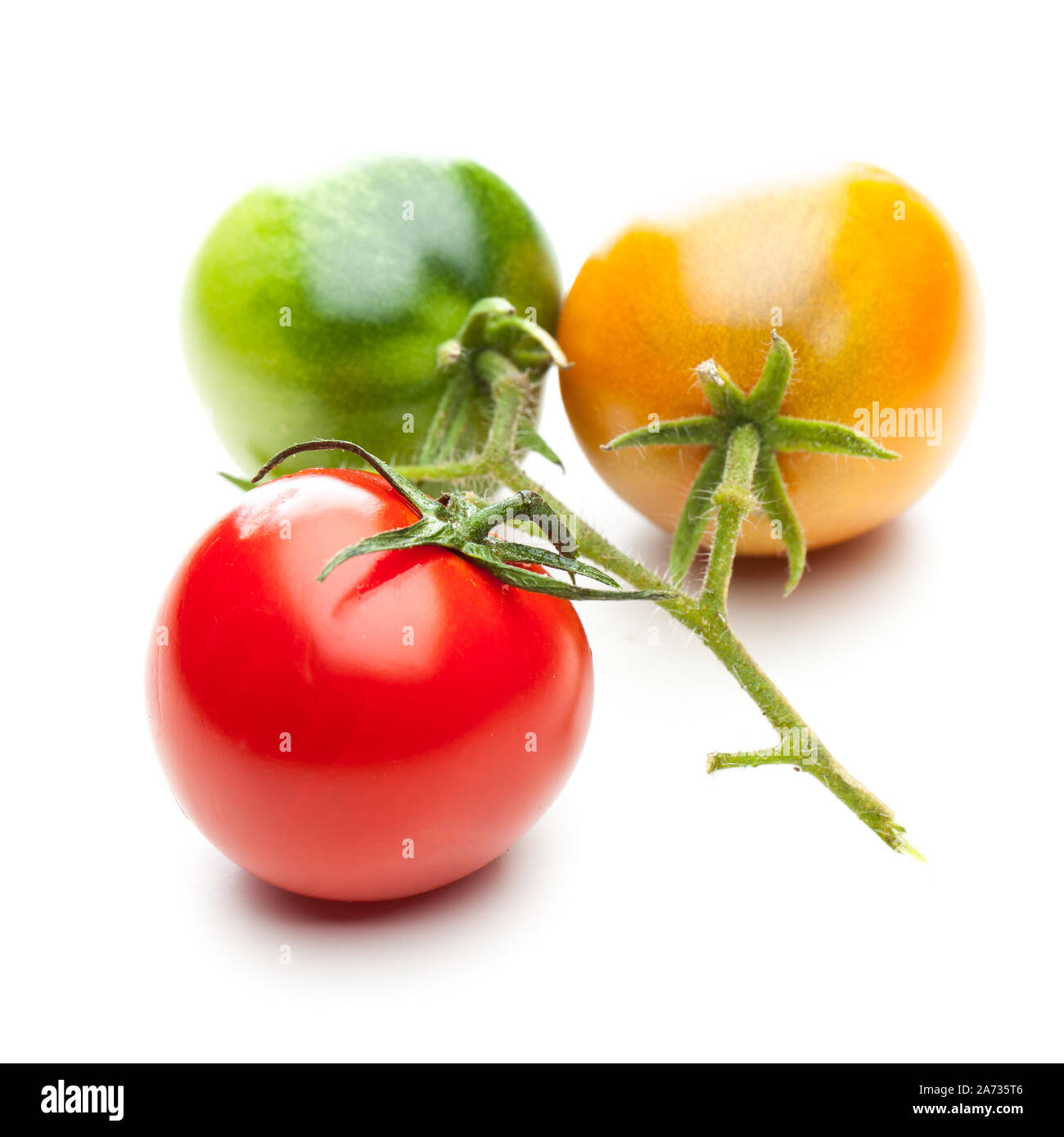 Tomaten in Rot, Grün und Gelb auf weißem Hintergrund Stockfoto