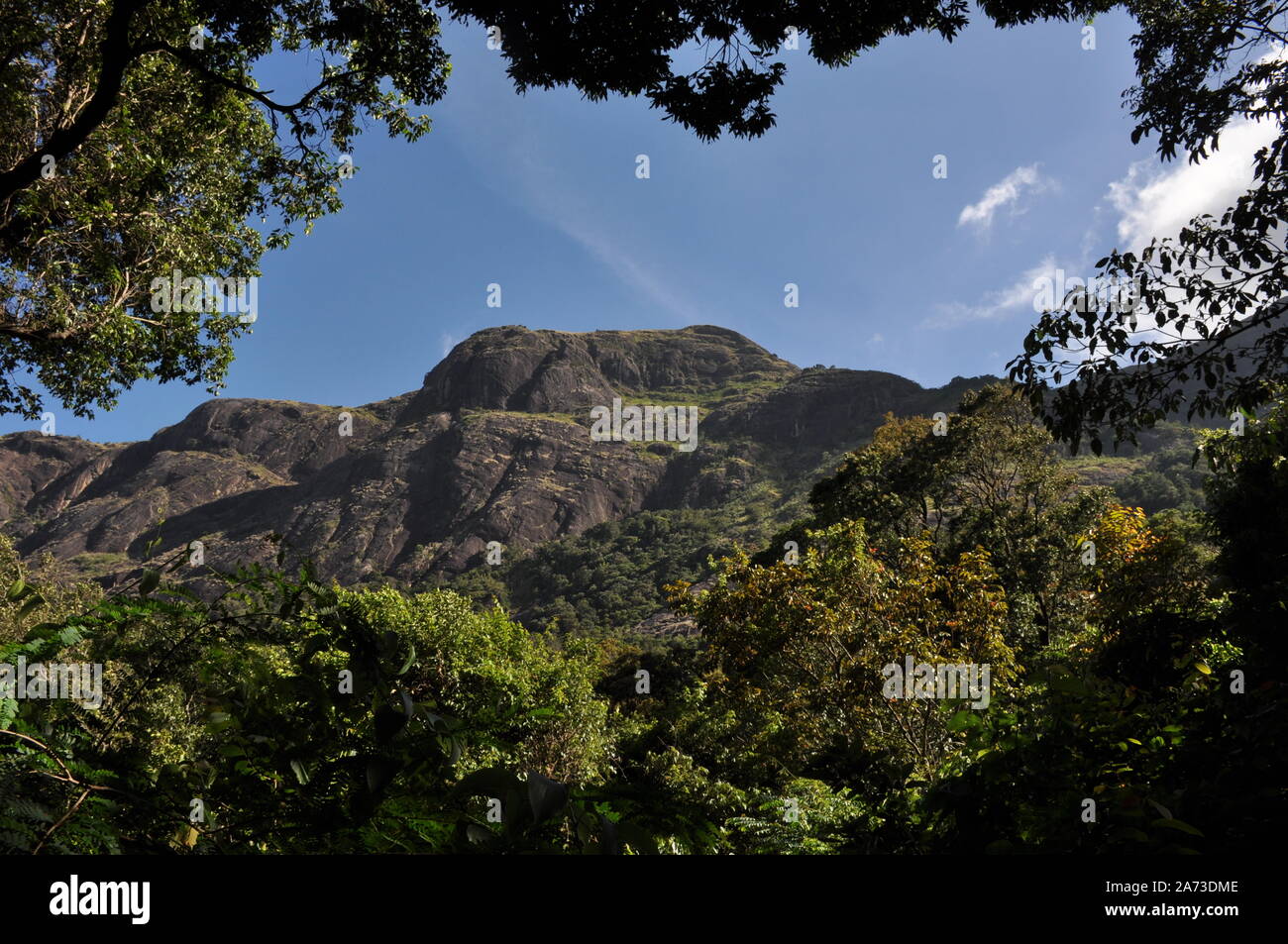 Schönheit der westlichen Ghats - die westlichen Ghats, auch bekannt als Sahyadri (wohlwollende Berge), sind eine Bergkette, die eine Fläche von 140,000 qm. umfasst Stockfoto