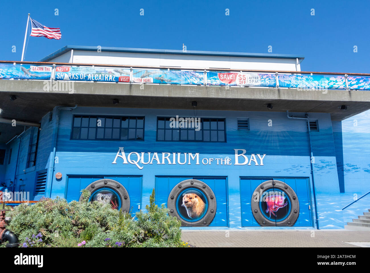 San Francisco, Kalifornien, Vereinigte Staaten von Amerika, Nordamerika, Aquarium des Hafens in Fisherman's Wharf District Stockfoto