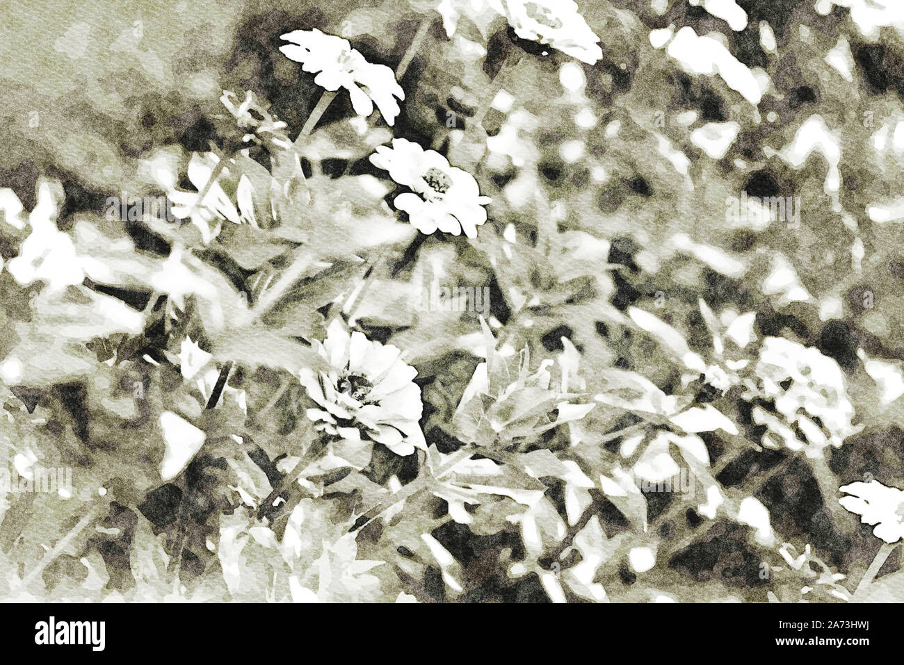 Digitale Kunst Malerei Leinwand - schwarz-weiß Bild der blühenden bunten Blumen im Garten (Aquarell) Stockfoto
