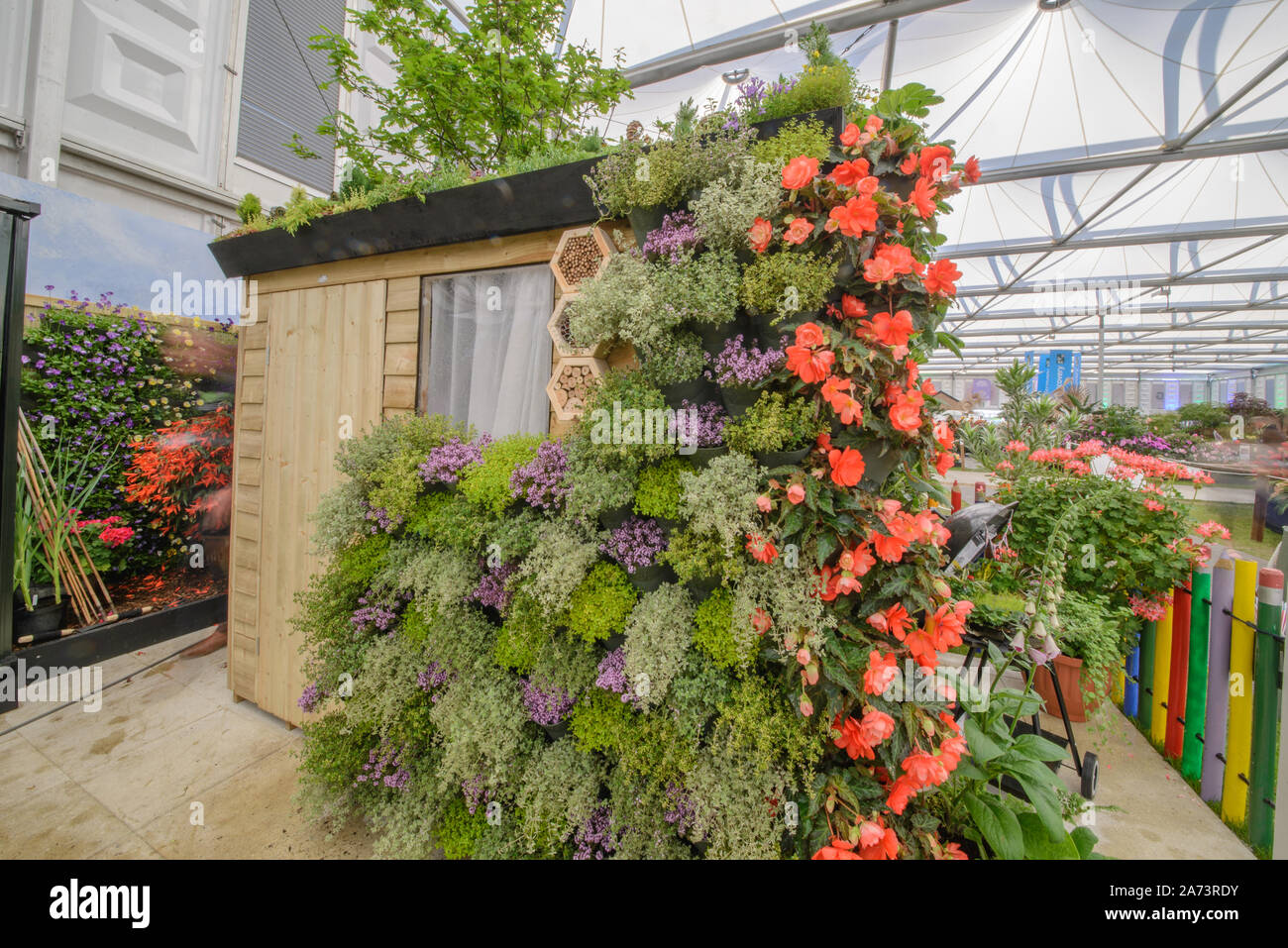 Grüne Wand/vertikale Gartenarbeit Stockfoto