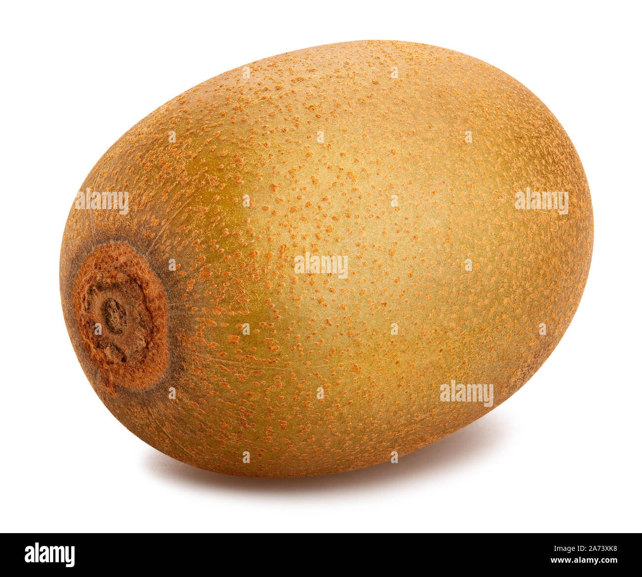 Golden Kiwi Pfad isoliert auf weißem Stockfoto