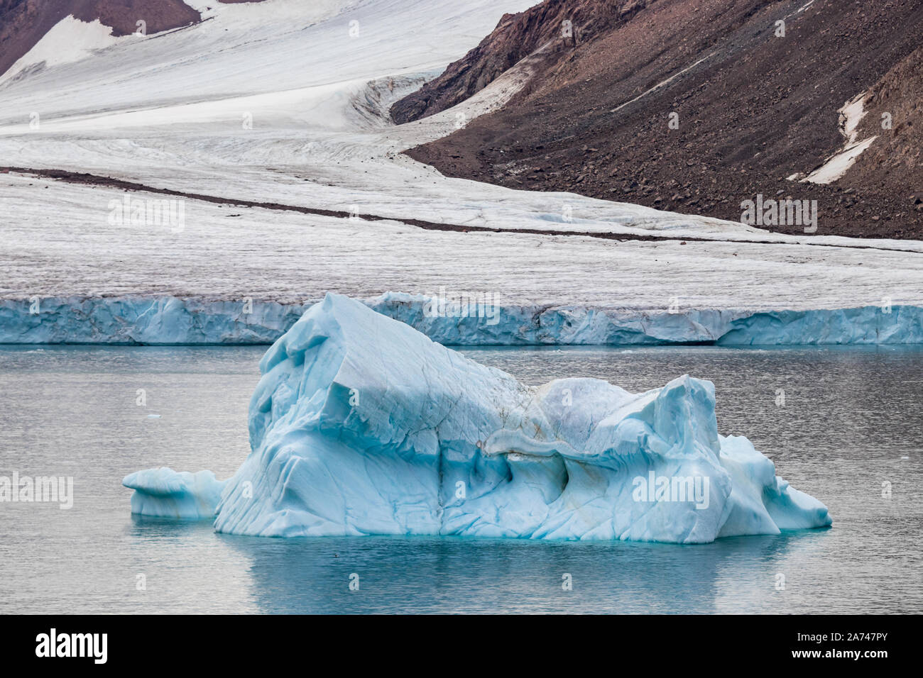 Eisberg am Rande eines Gletschers in Ellesmere Island, Teil der Qikiqtaaluk Region im kanadischen Territorium Nunavut Stockfoto