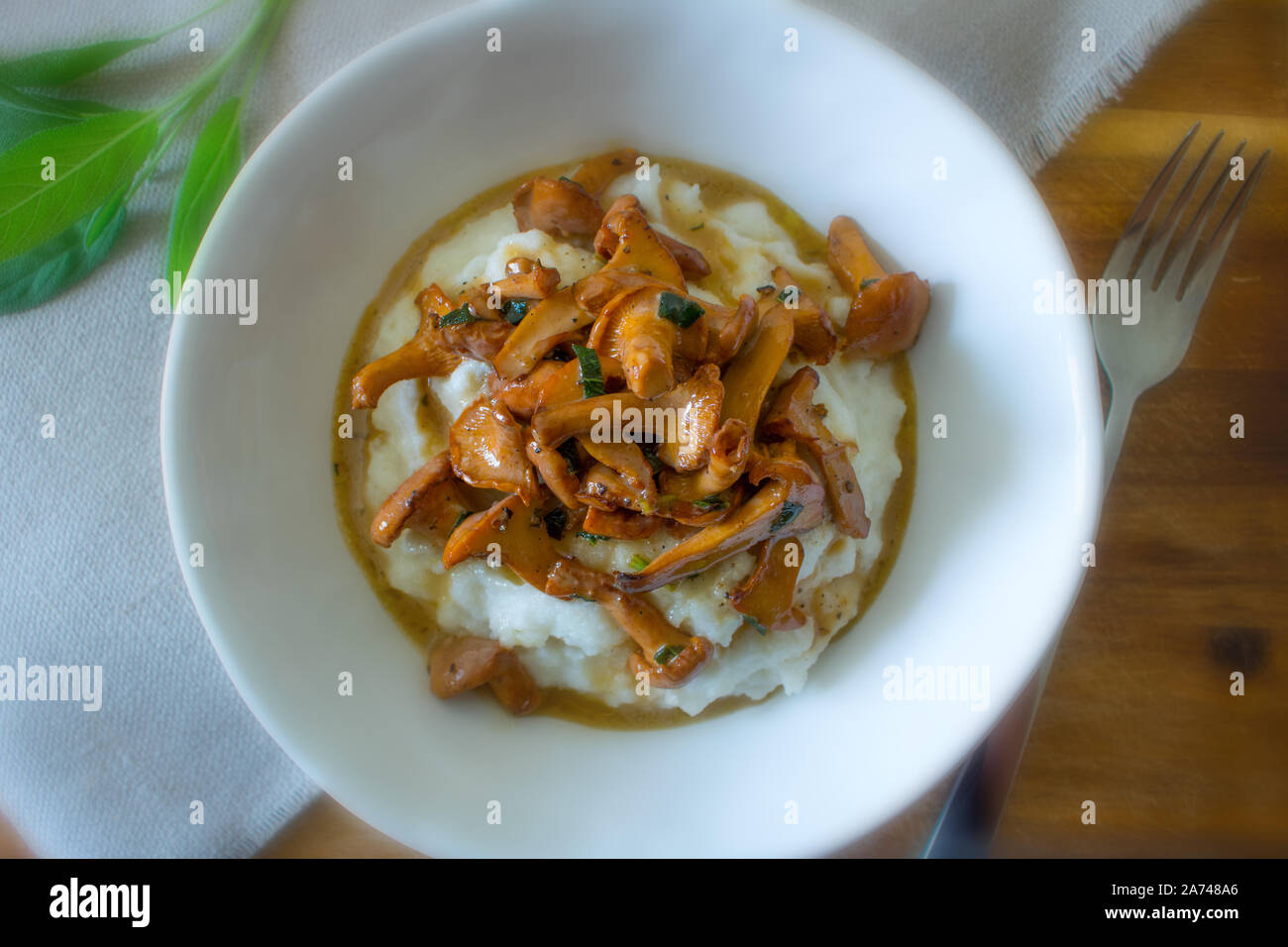 Essen Fotografie von cremiger Polenta mit Pfifferlingen und aprikosensoße Stockfoto