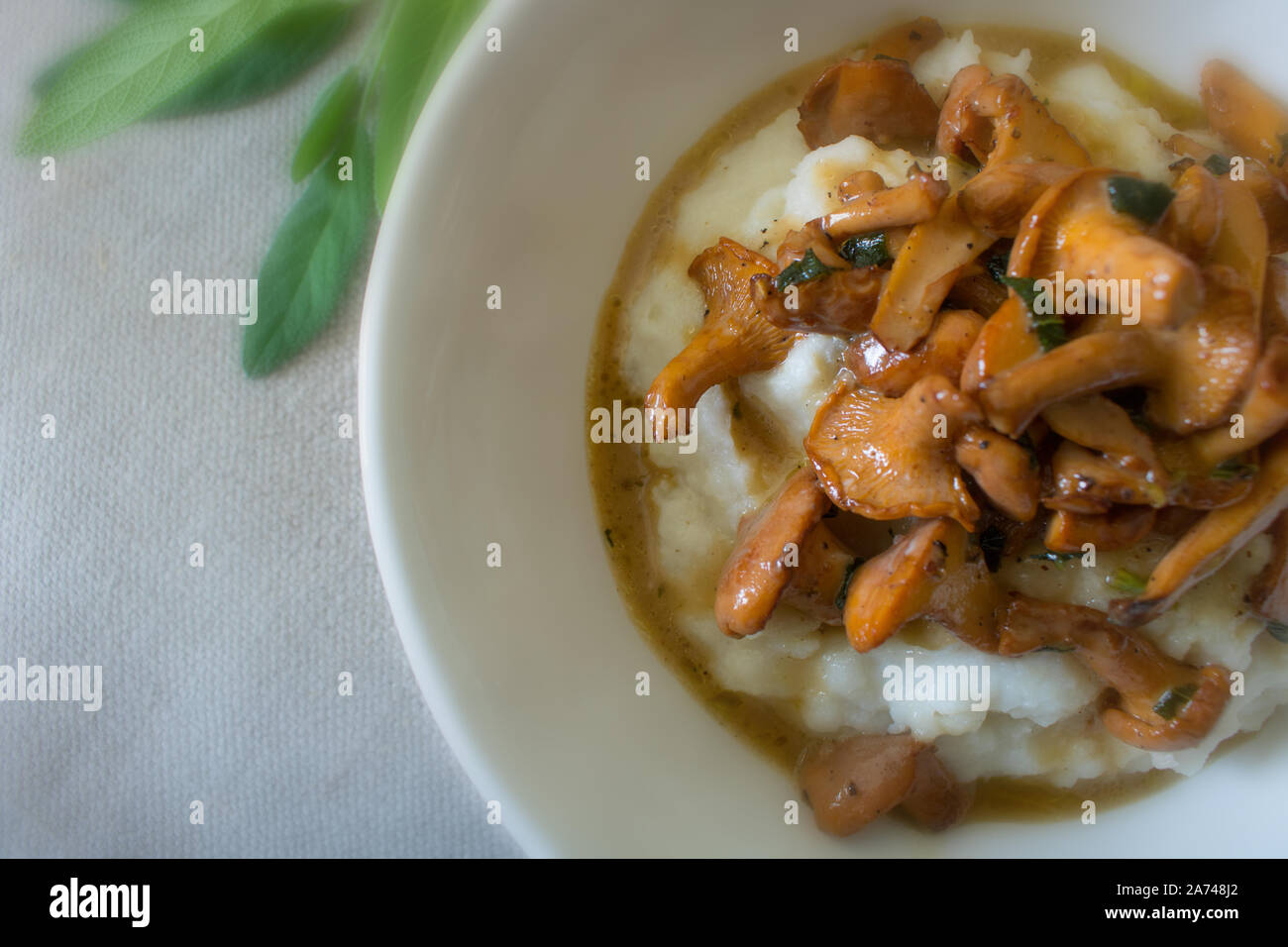 Essen Fotografie von cremiger Polenta mit Pfifferlingen und aprikosensoße Stockfoto