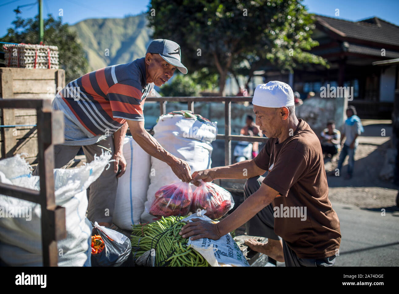 SEMBALUN LAWANG, Indonesien - 26. AUGUST 2017: Lokale Mitarbeiter arbeiten bei den traditionellen Markt in Sembalun Lawang. Stockfoto