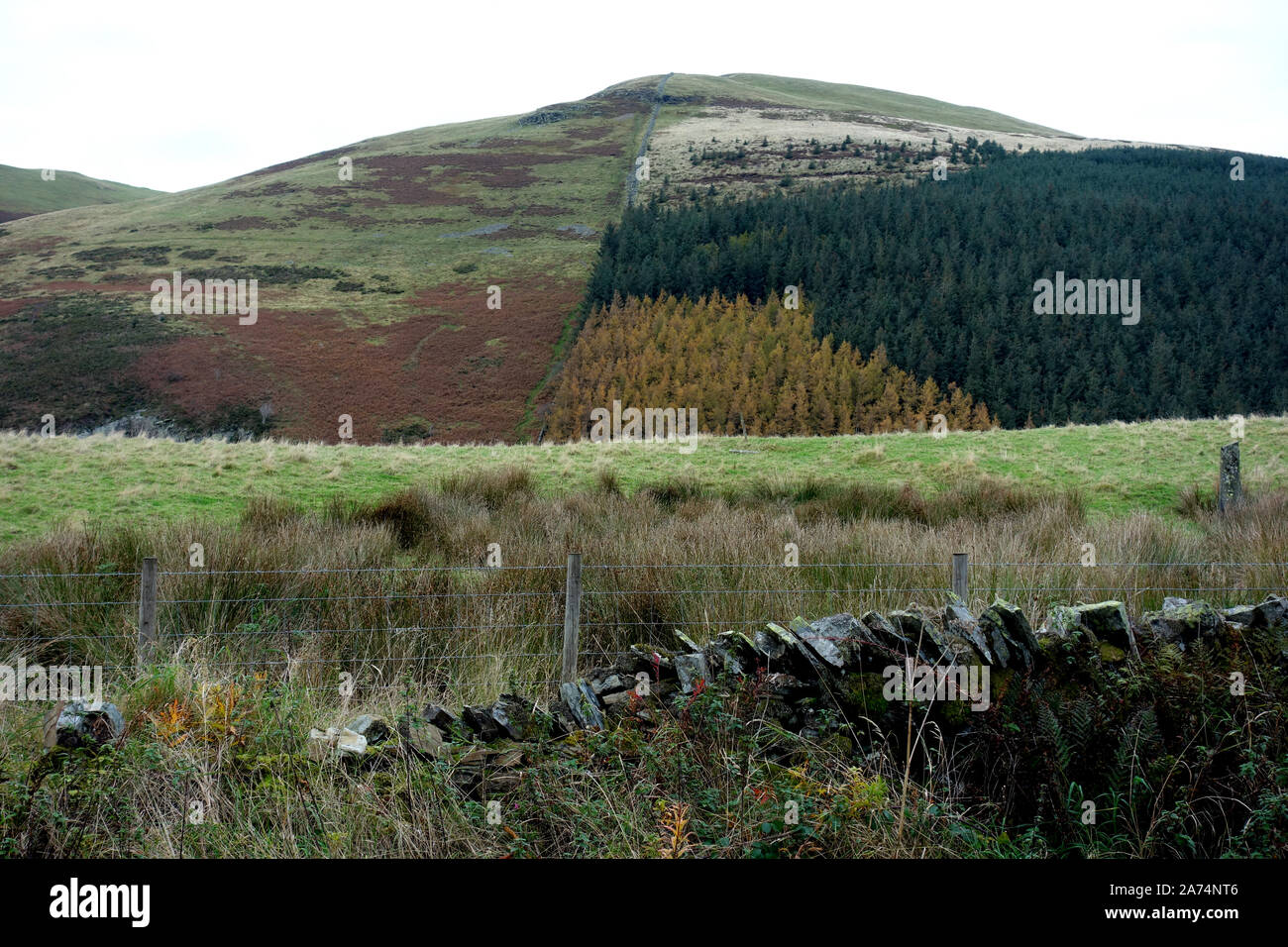 Die Wainwright Greystones aus dem B5081 Whinlatter Pass Road in der Nähe von Hammond, Nationalpark Lake District, Cumbria, England, Großbritannien Stockfoto