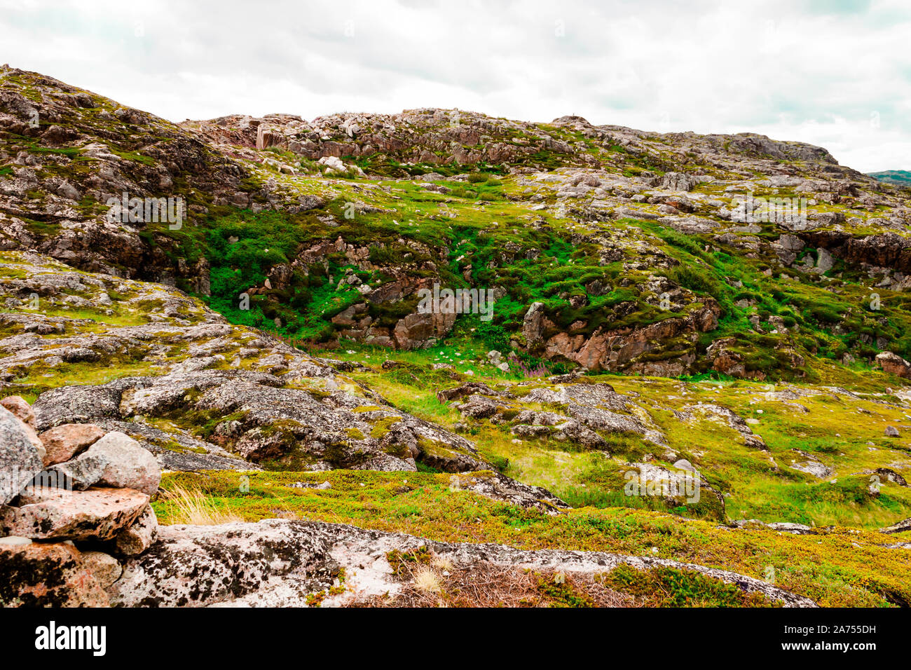 Schönen Sommertag Landschaft Berge Barentssee Teriberka anzeigen. Nordsee Konzept Stockfoto