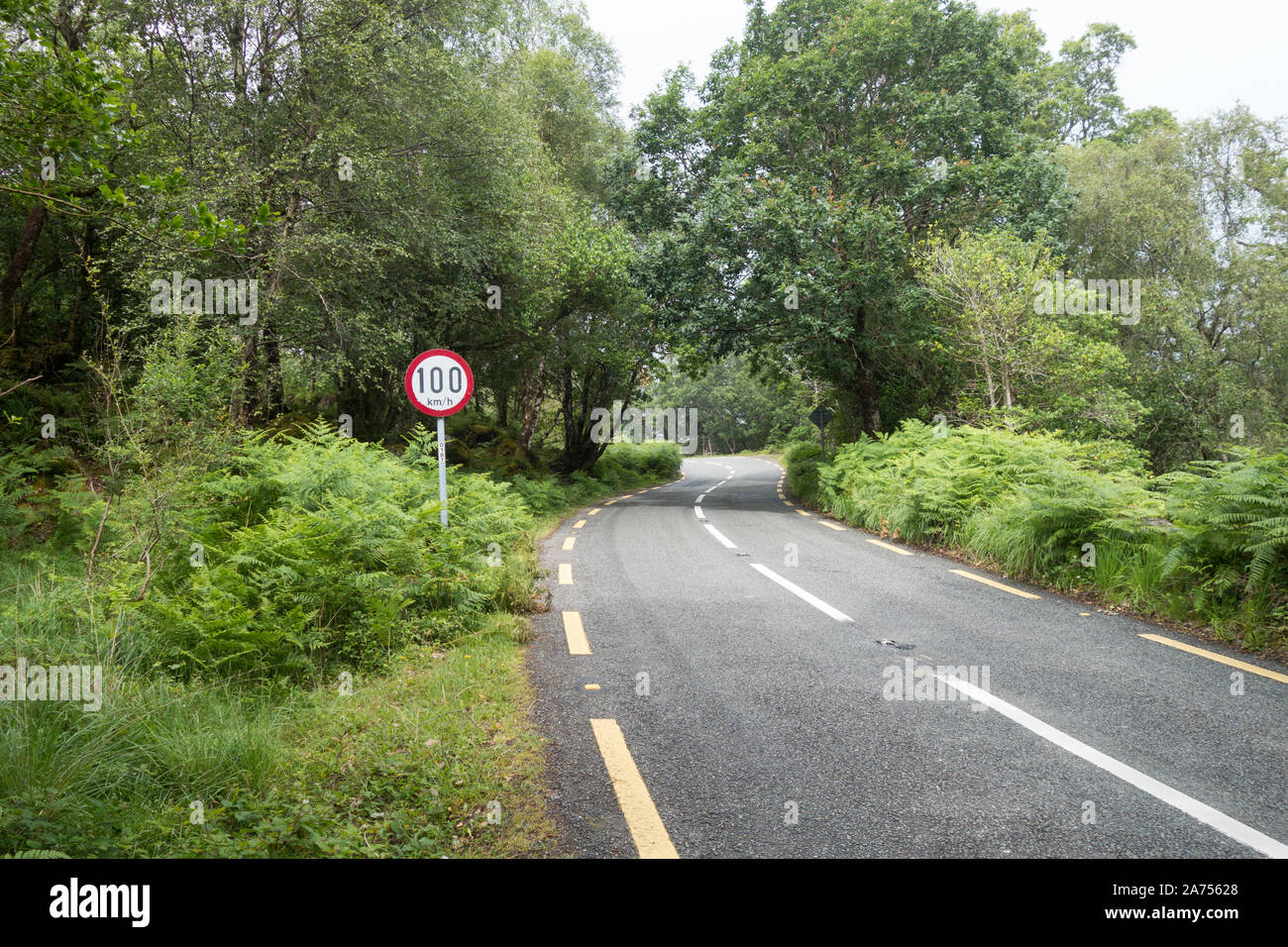 100 km und Stunde Höchstgeschwindigkeit auf eine irische Country Road Green Lane mit einer gefährlichen Kurve Stockfoto