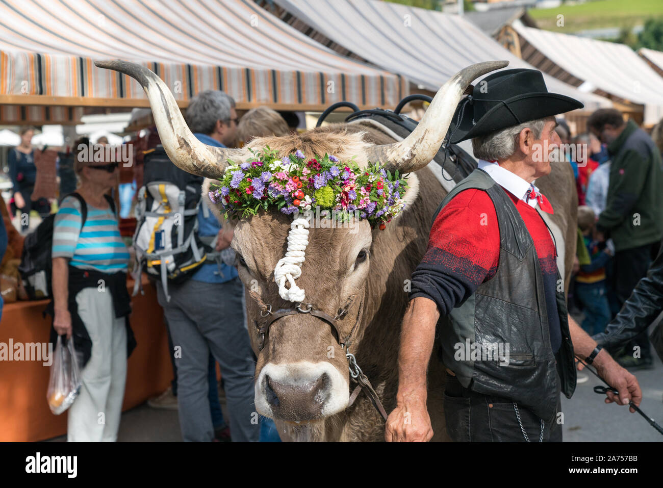 Savognin, GR/Schweiz, 12. Oktober, 2019: Der Mann, der vor seiner dekoriert Preis bei einem Schweizer Dorf Festival lenken Stockfoto