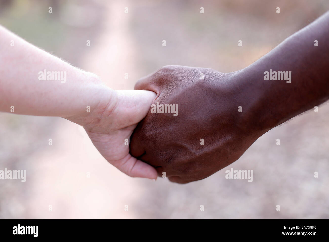 Weiße und schwarze Hand United - Pflegt die Hände über Trauringe beigetreten - Goldene Hochzeit Ringe Stockfoto