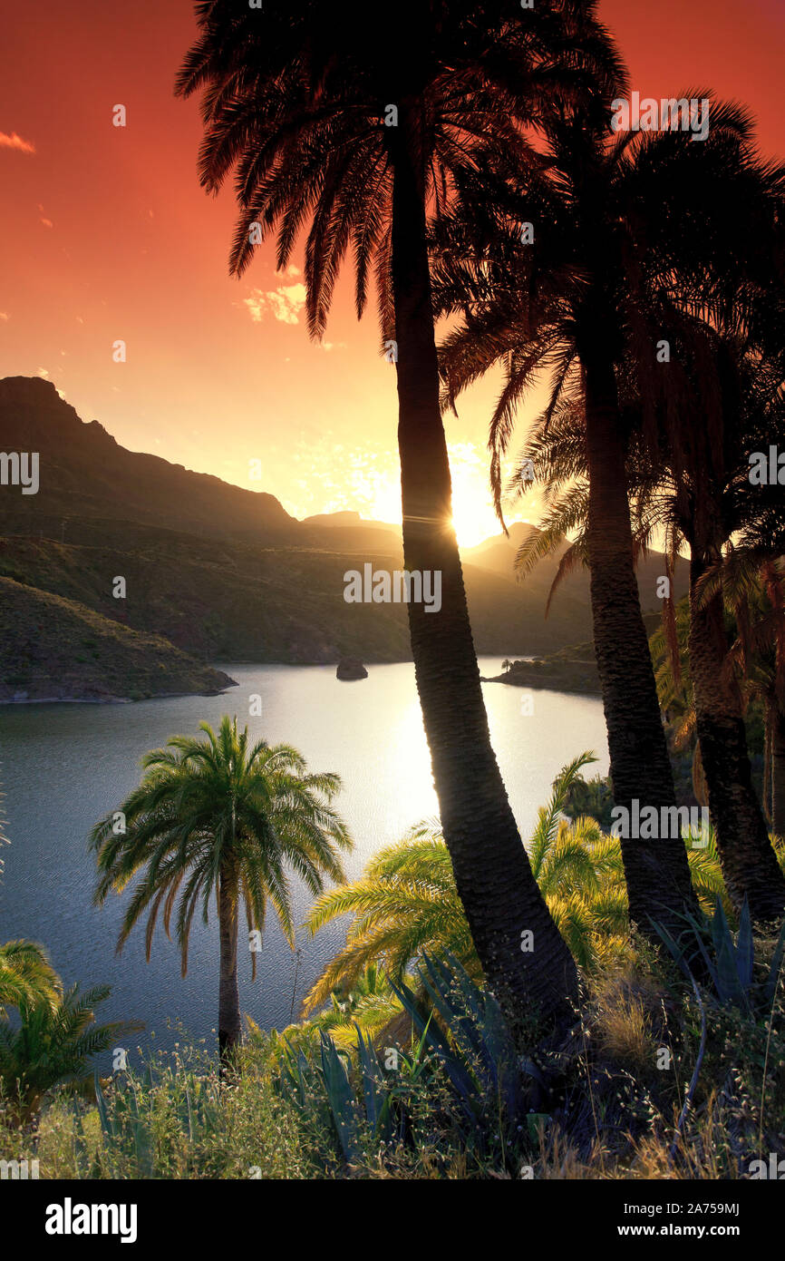 Kanarische Inseln, Gran Canaria, Santa Lucia, La Sorrueda Reservoir Stockfoto