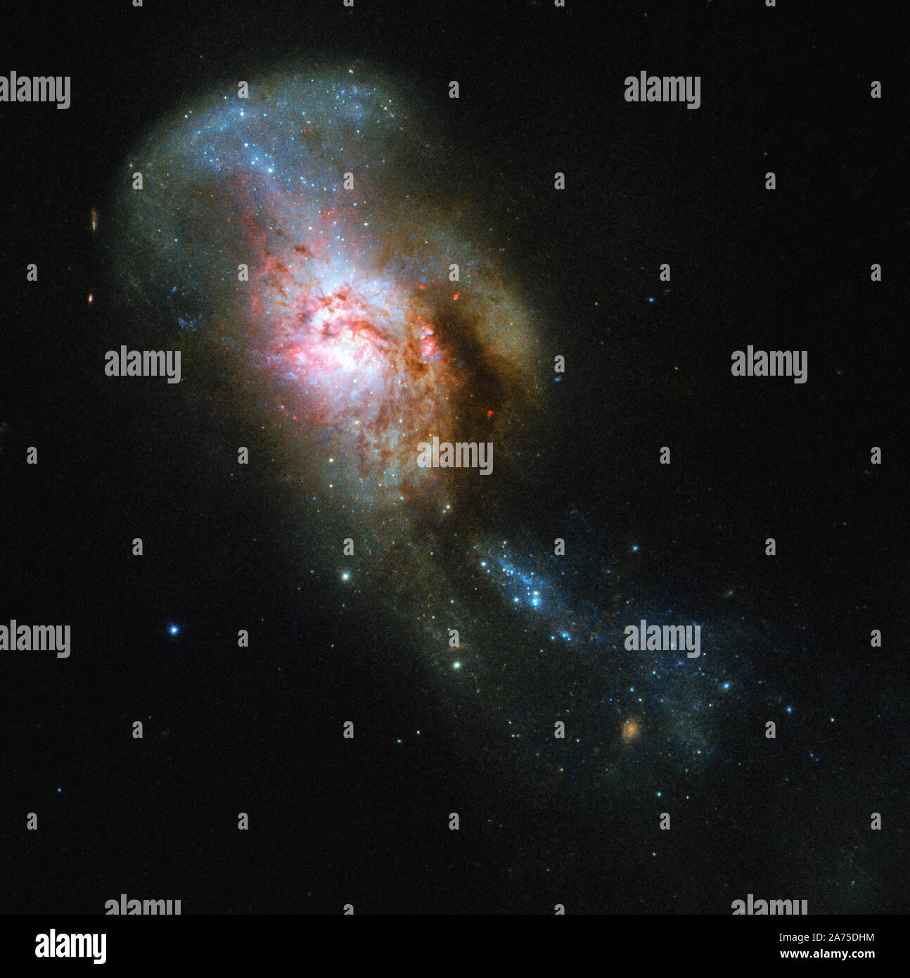 Die Galaxie in dieser Hubble Foto der Woche hat eine besonders