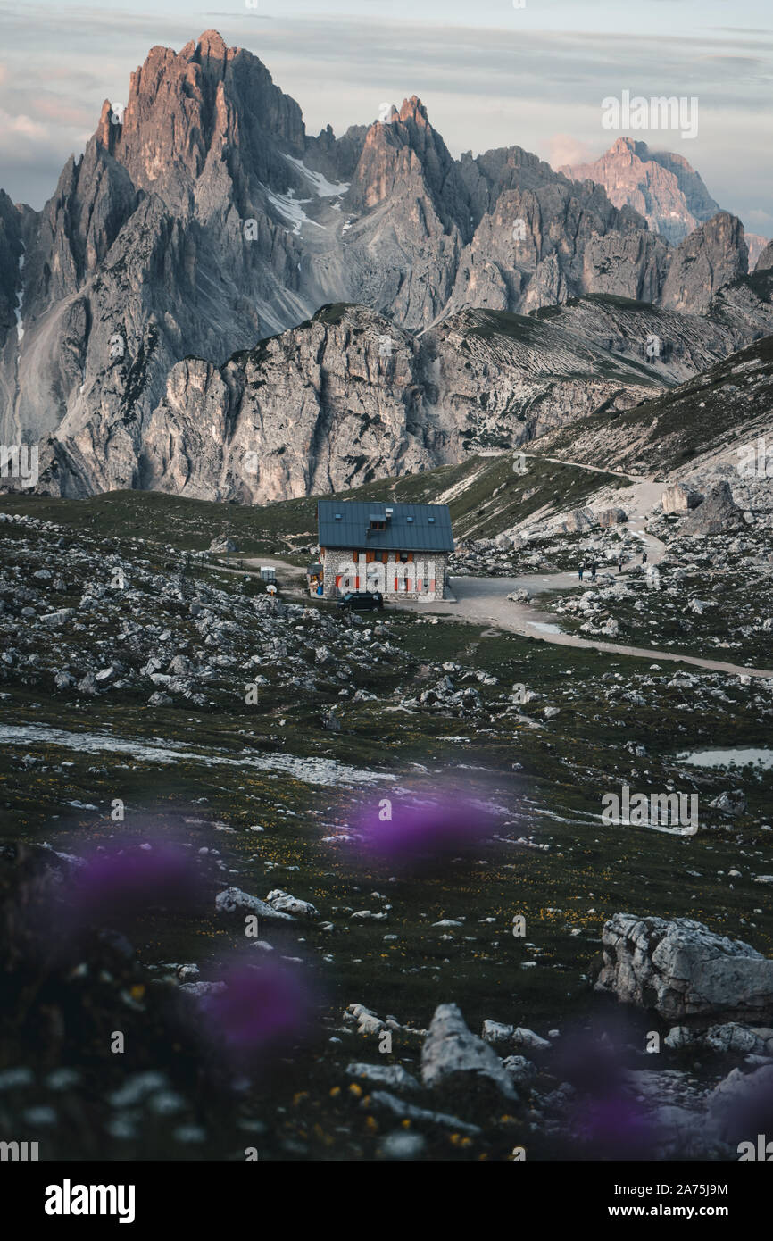 Lila blurry Blumen im Vordergrund und Rifugio Lavaredo (Lavaredohütte), die Dolomiten im Hintergrund, Italien Stockfoto