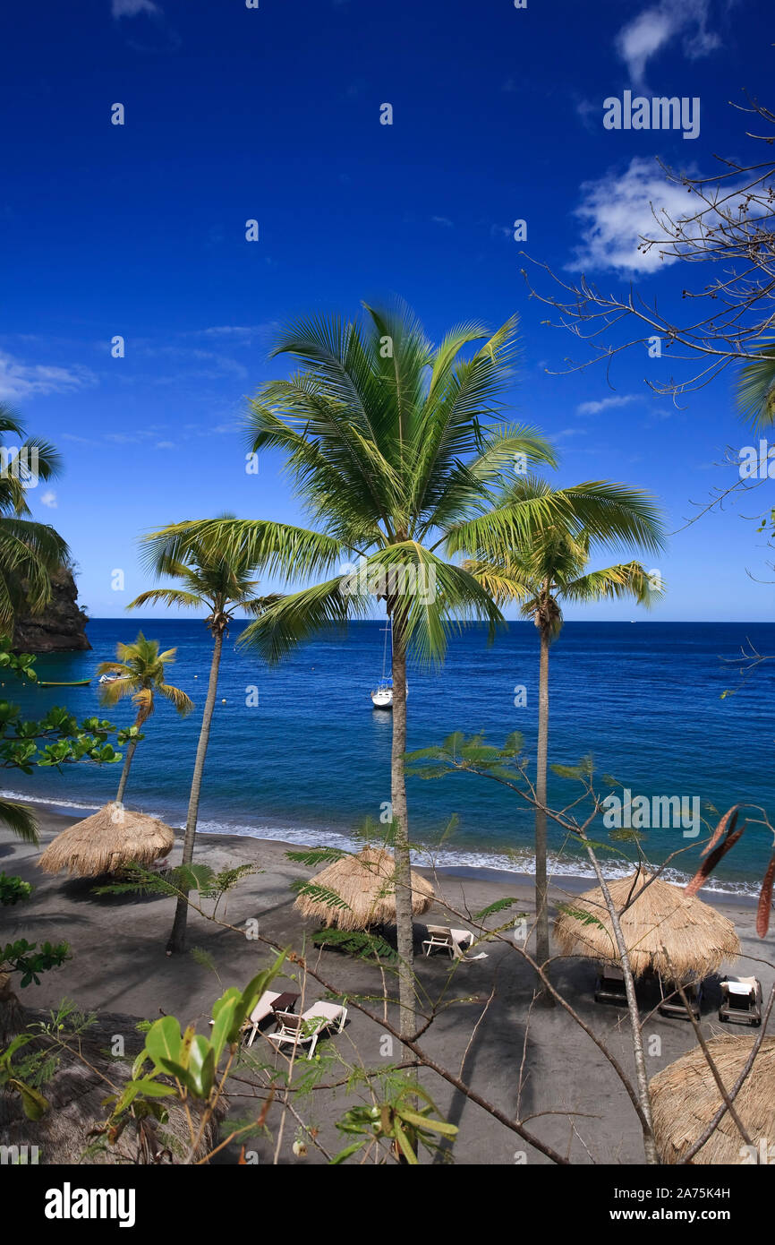 Karibik, St. Lucia, Anse Chastanet Strand Stockfoto