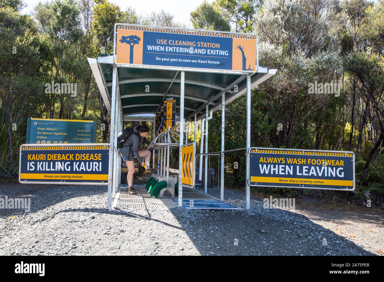 Schrubben Sie Ihre Schuhe nach KAURI FOREST TREKKING, NEUSEELAND Stockfoto