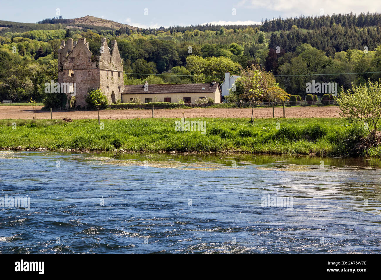 Malerisch gelegen, bleibt der Tickincor Schloss am Ufer des Flusses Suir im County Waterford, Irland. Stockfoto