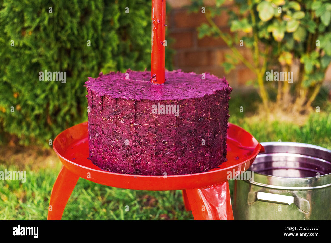 Wein drücken Sie die Maschine mit Rot- und schrägverzahnte Schraube nach Abheben Saft aus Traubenmost. Konzept der kleinen Handwerksbetrieb. Weinlese. Spezielle equ Stockfoto
