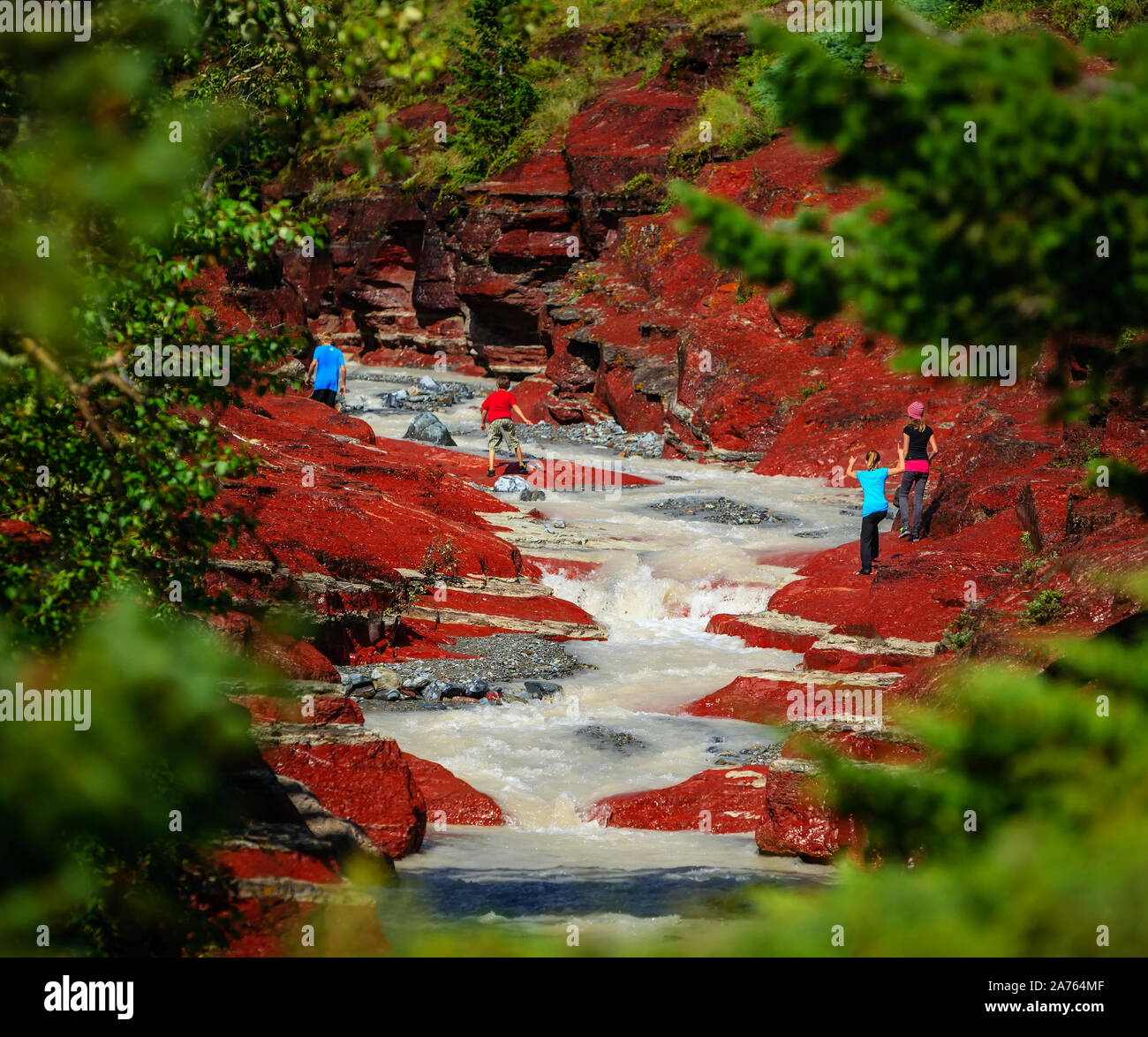 Kinder erkunden Red Rock Canyon, Waterton Lakes National Park, Alberta, Kanada. Stockfoto