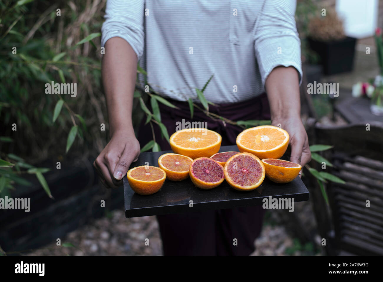 Passform weiblichen Holding geschnittene Orangen in Familie Garten. Gesunder Lebensstil mit britischen Landhausstil Gefühl, das Auspressen der orangen Konzept Stockfoto