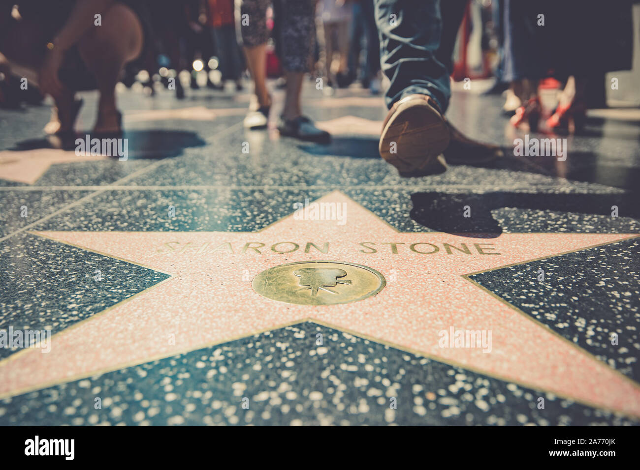 Star auf dem Bürgersteig des Hollywood Boulevard in Los Angeles während der touristischen Saison Stockfoto