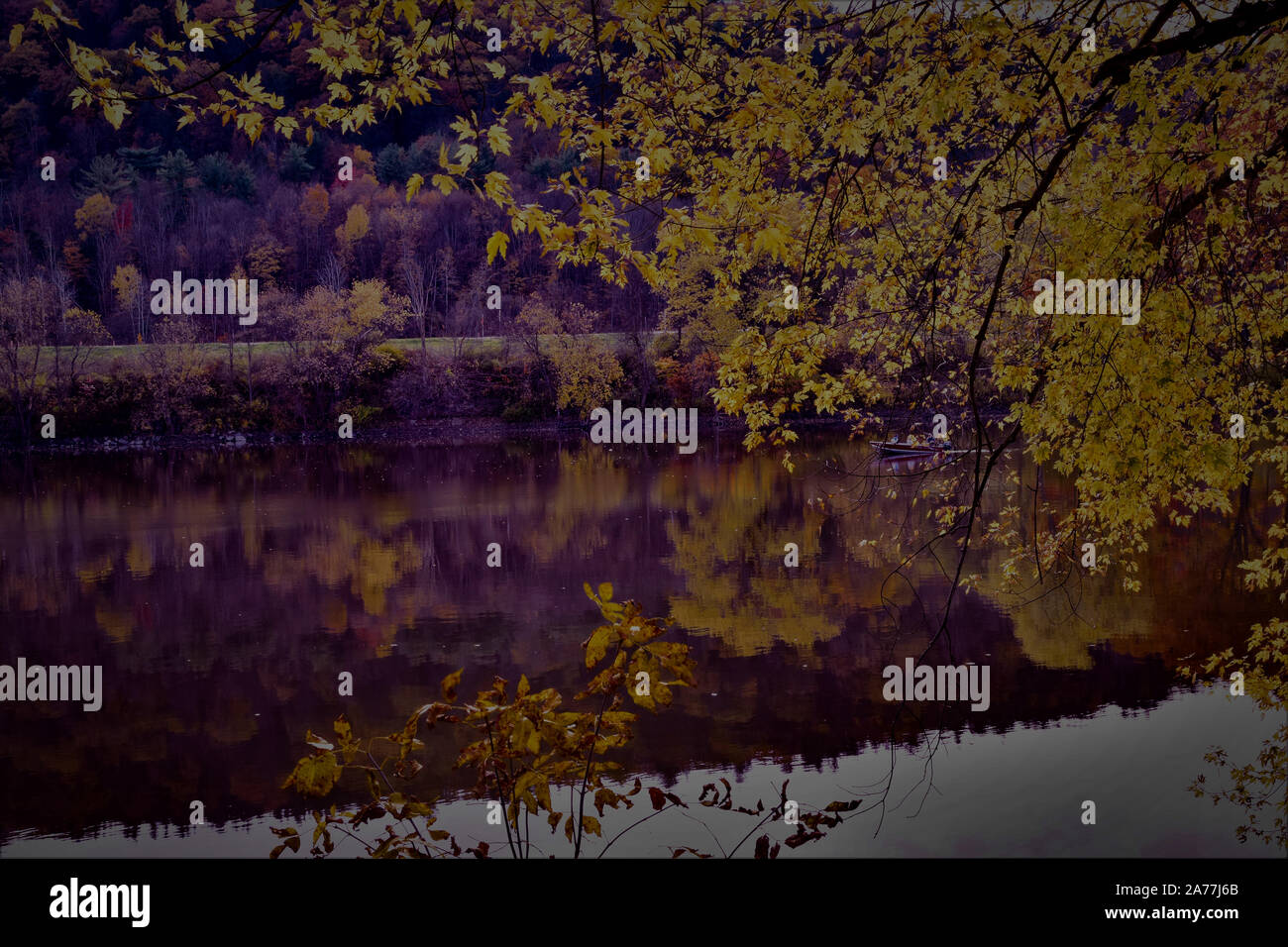 Herbst-Laub-Reflexion Stockfoto