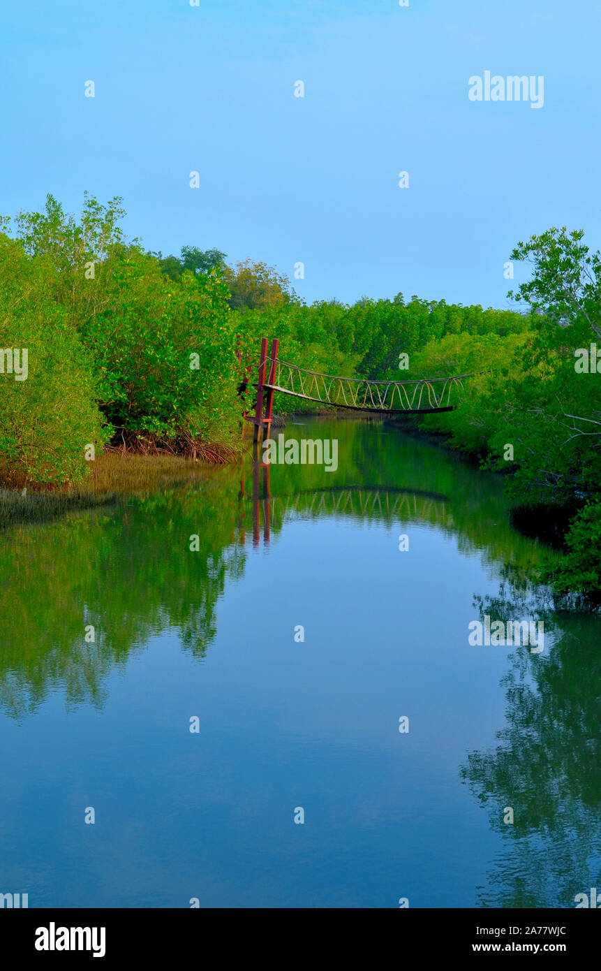 Die mäandrierenden Bach, der sich durch die sirindhorn International Environmental Park Hua Hin Thailand Asien Stockfoto