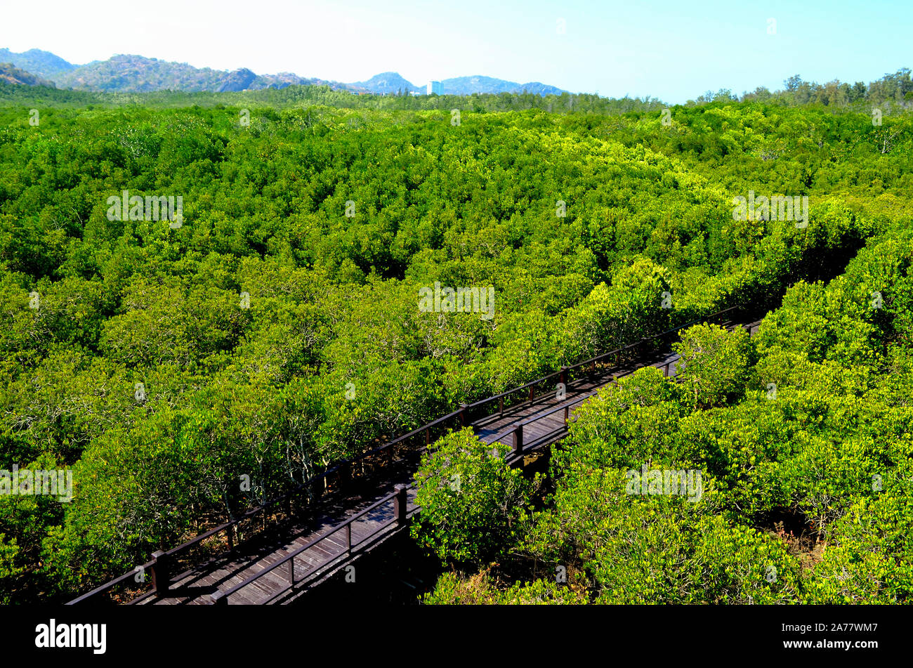 Ein Luftbild der Mangrove Spaziergang auf dem sirindhorn International Environmental Park Hua Hin Thailand Asien Stockfoto