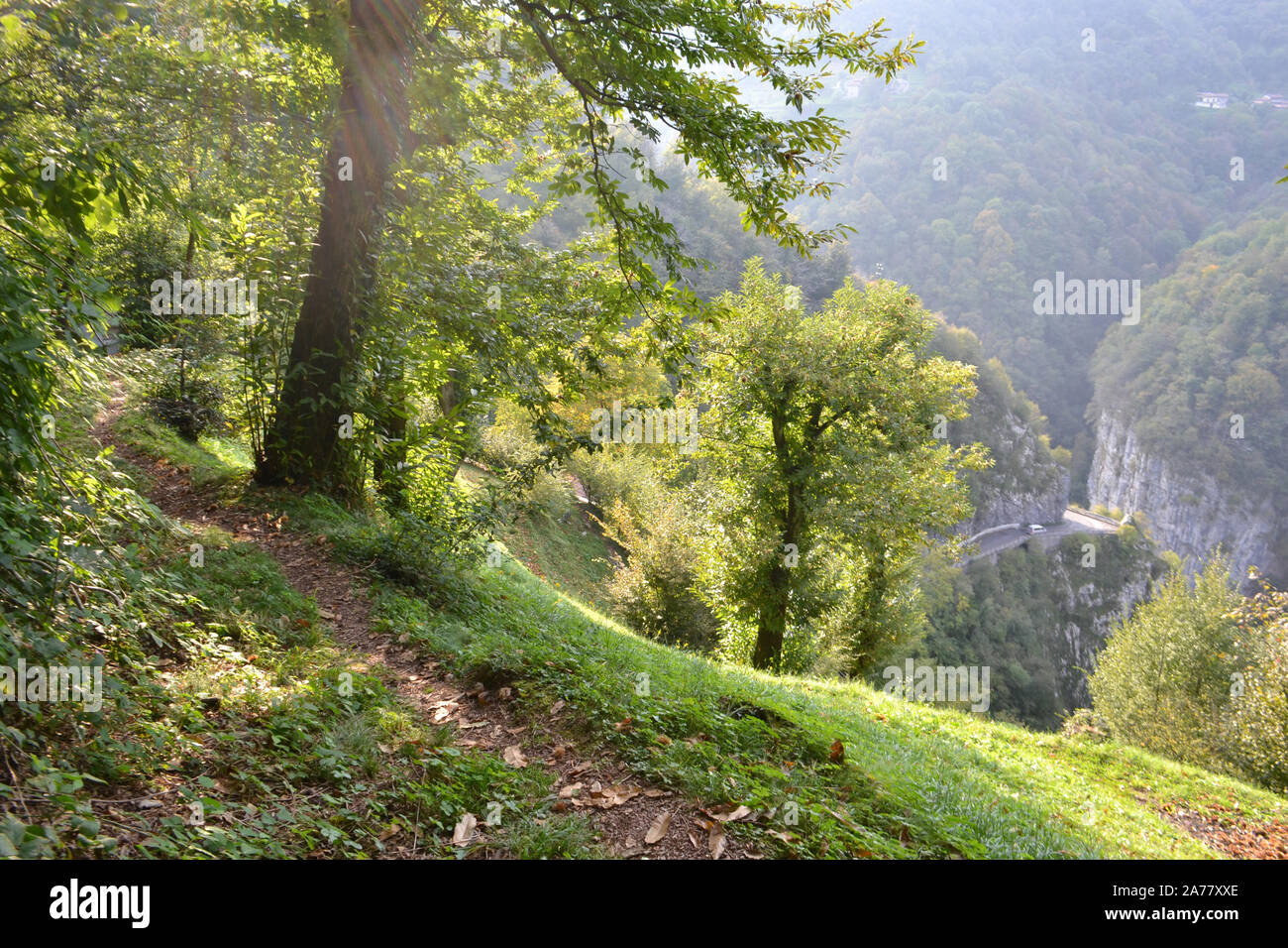 Wunderschönen herbstlichen Blick auf hohe Berge tal Landschaft. Berg Weg, Straße entlang Tief rocky Canyon und großen Kastanienbäumen. Stockfoto