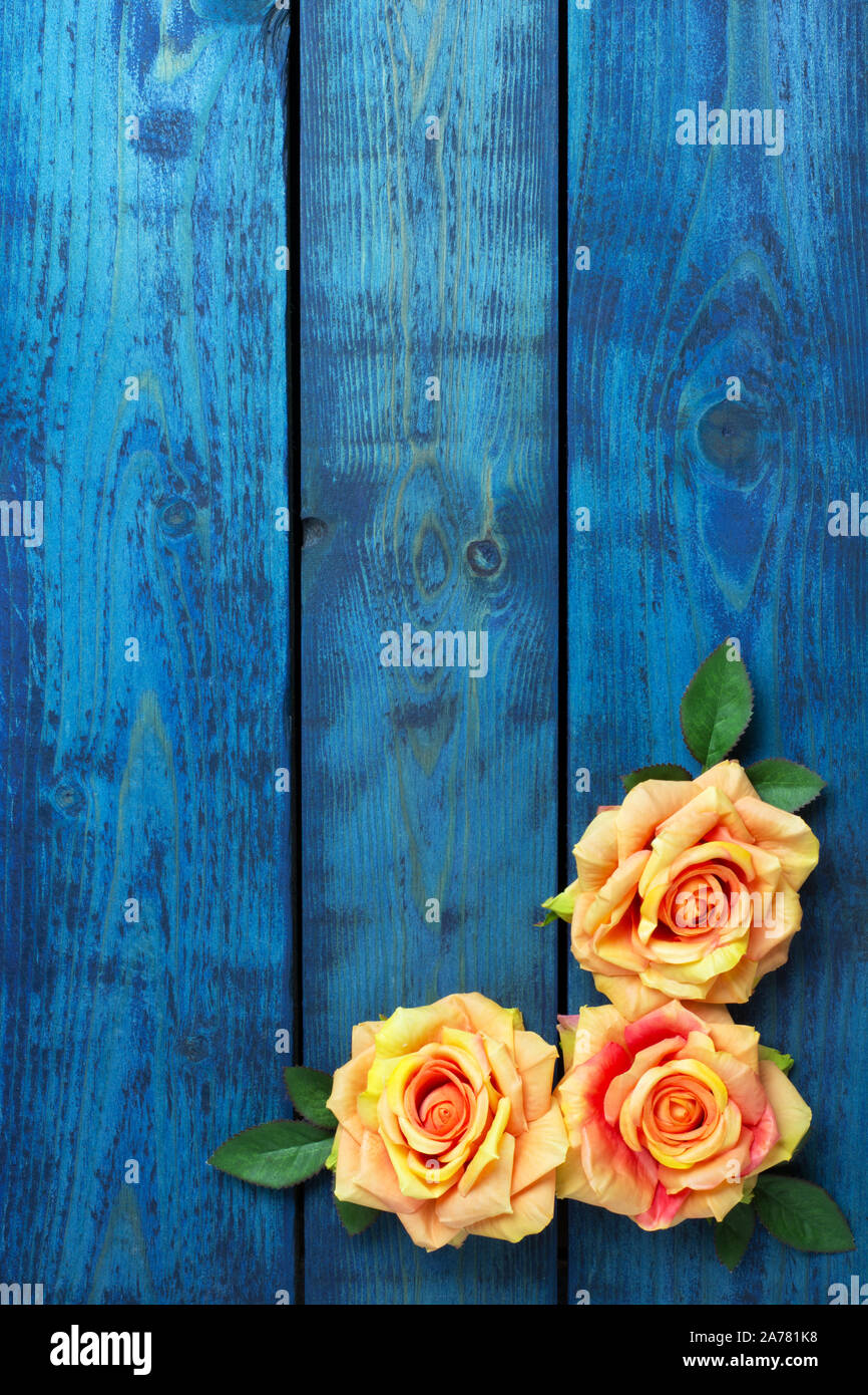 Romantische Hintergrund mit drei orange rose Blumen auf blau Holz- Hintergrund Stockfoto