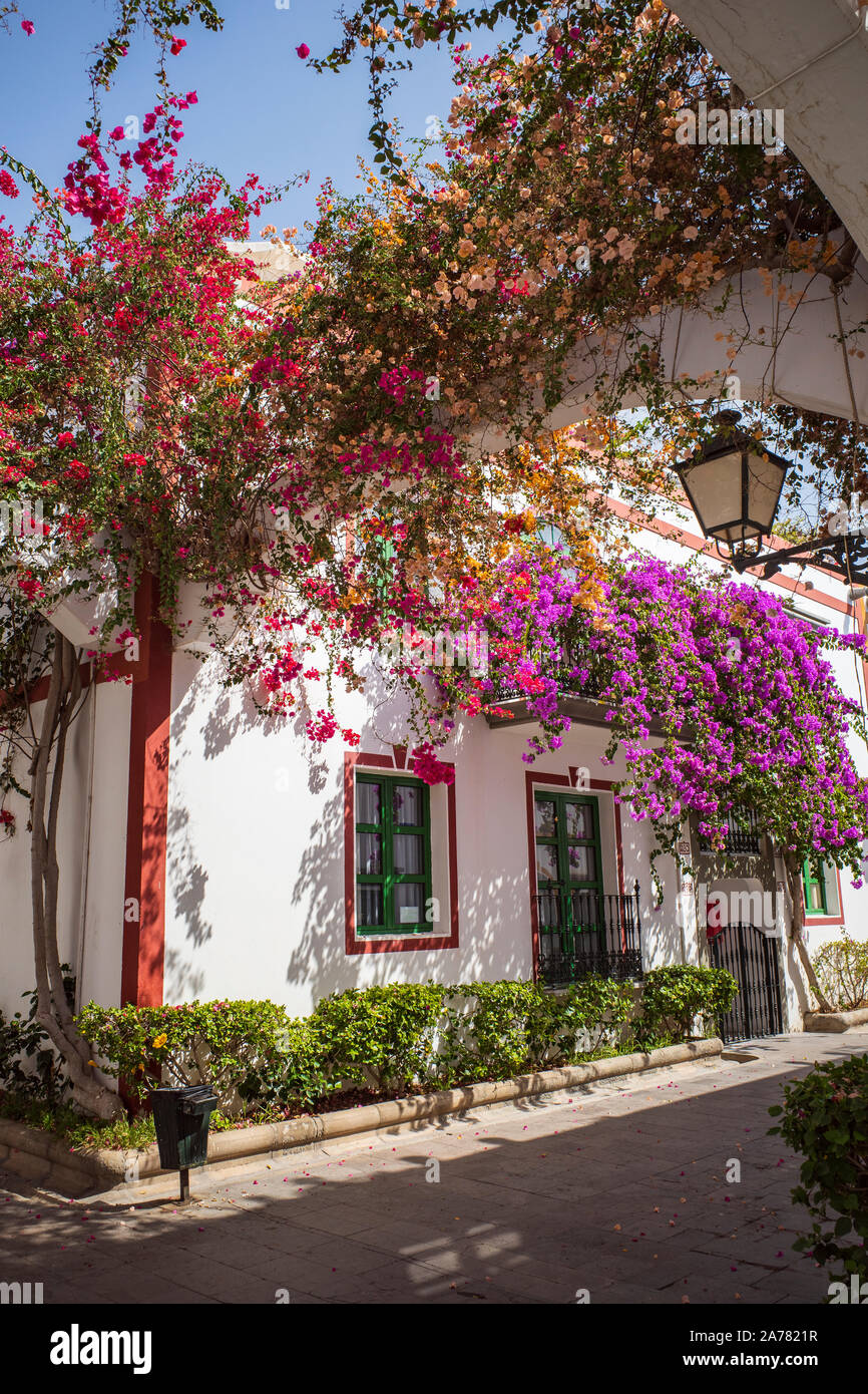 Haus im Süden mit Blumen Bougainvillea Stockfoto