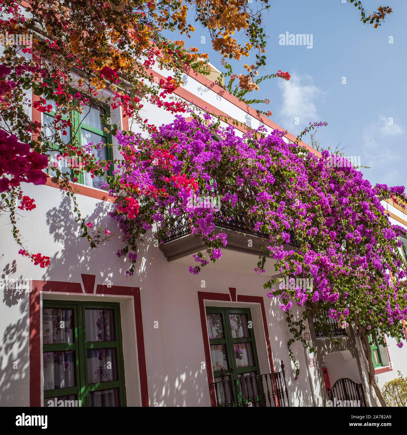 Haus im Süden mit Blumen Bougainvillea Stockfoto