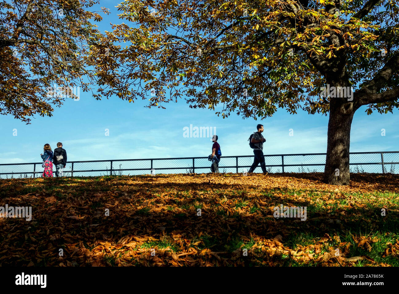 Menschen, die im warmen Herbst im Stadtpark spazieren, unter Rosskastanie spazieren gehen Herbstfarben hinterlassen schönes Wetter herbstliche Bäume an einem sonnigen Tag beim Bummeln Stockfoto