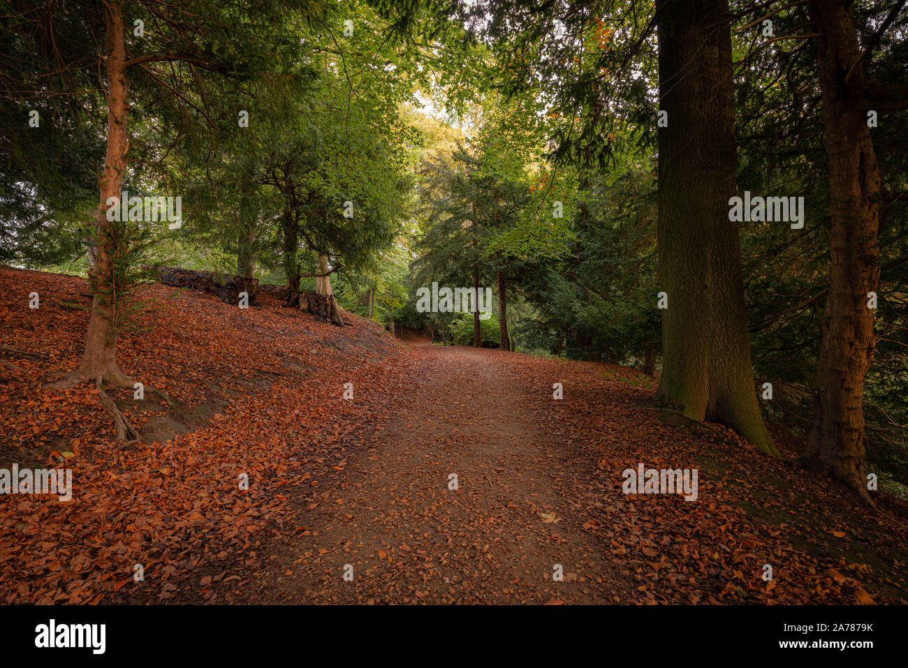 Magnificent Fountains Abbey in North Yorkshire Stockfoto
