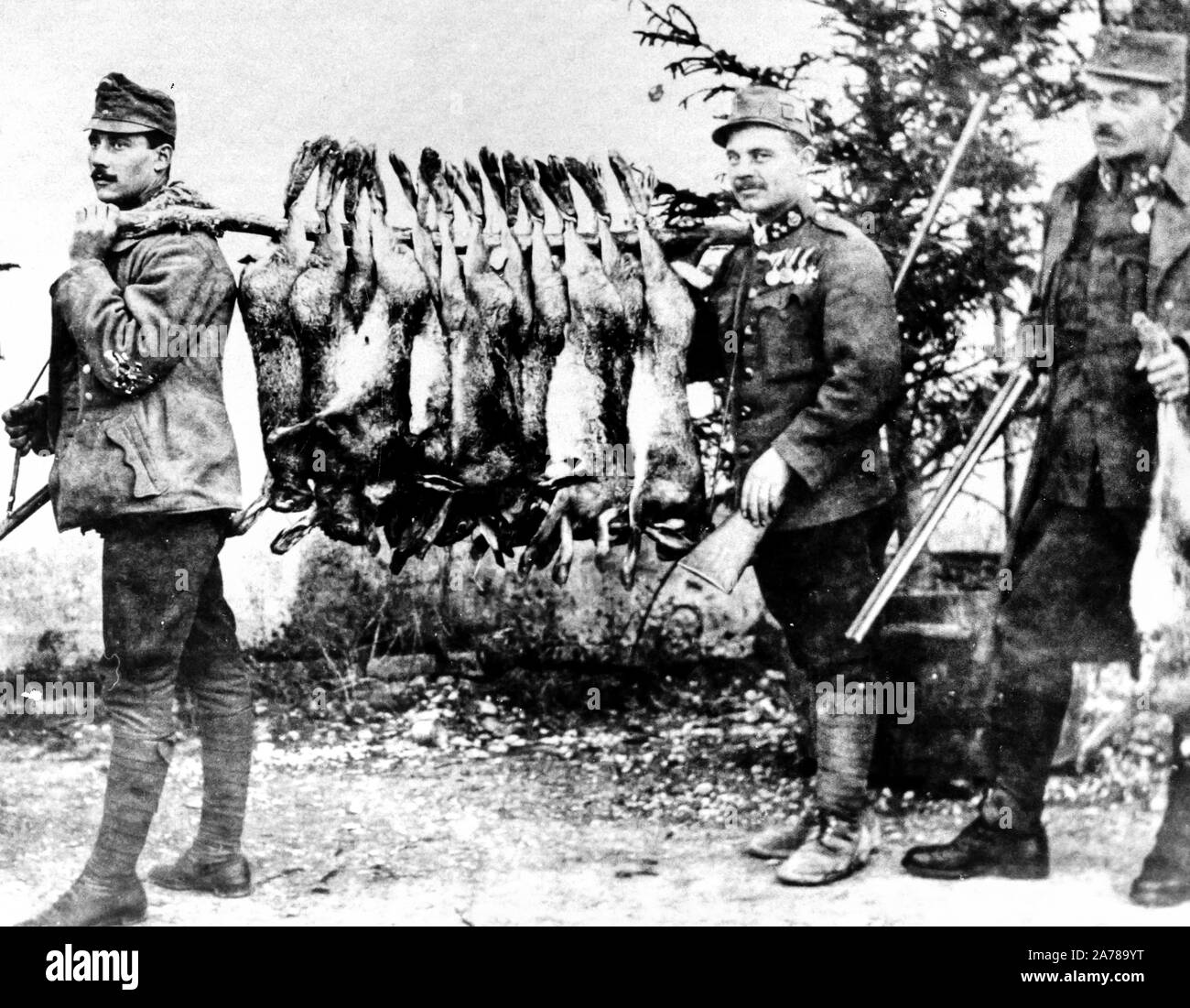 Lieferung von österreichischen Truppen, der Erste Weltkrieg, 1918 ...
