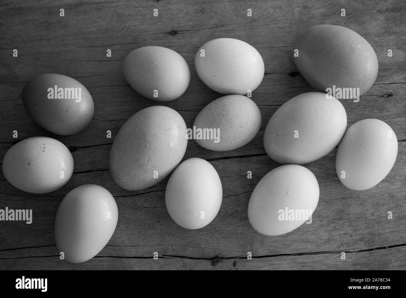 Huhn Eier auf Holzbrett mit Kräutern, Rosmarin, Thymian und Basilikum, organische Produkte, Eier in verschiedenen Größen und Farben, mit Platz für Text. Stockfoto