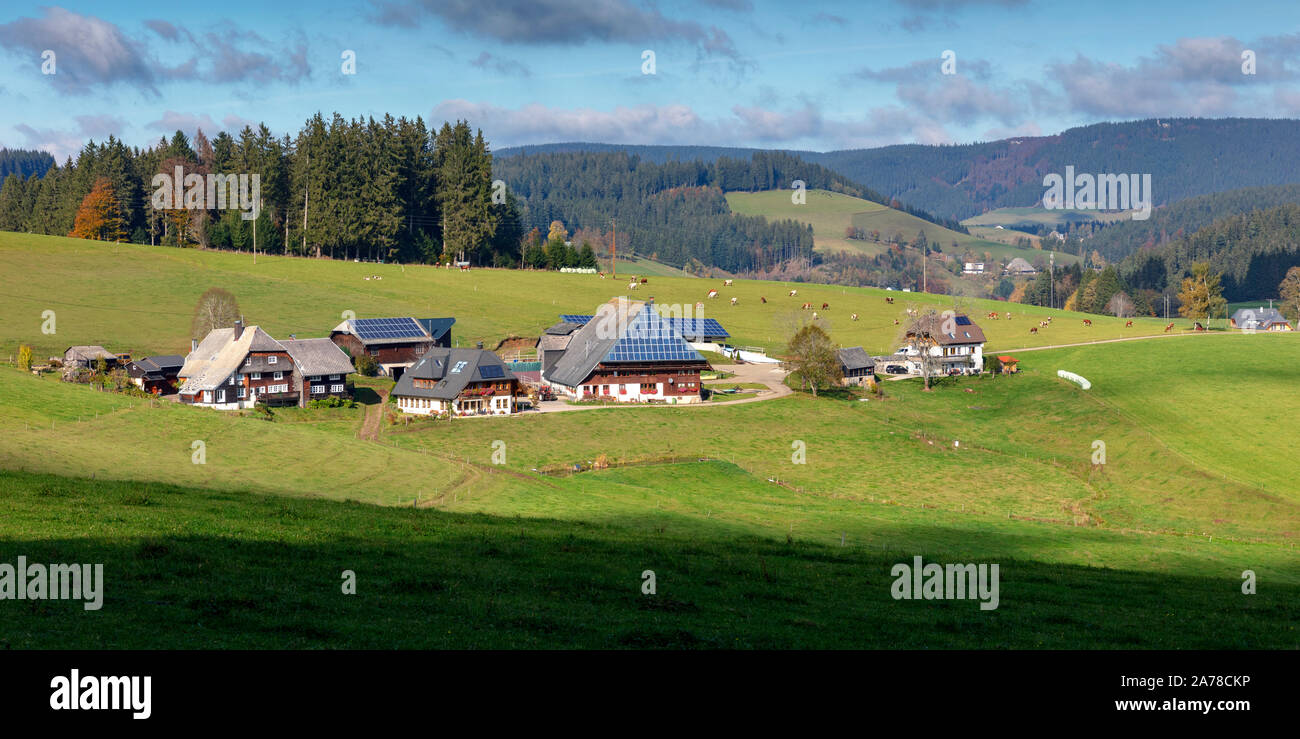 Oberfallengrundhof, Schwarzwaldhaus, in der Nähe von Gütenbach, Schwarzwald, Baden-Württemberg, Deutschland Stockfoto