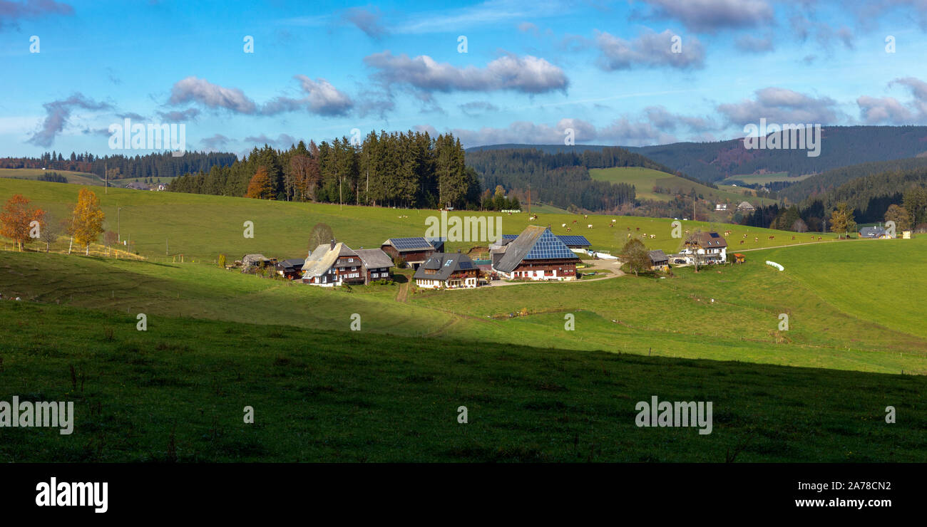 Oberfallengrundhof, Schwarzwaldhaus, in der Nähe von Gütenbach, Schwarzwald, Baden-Württemberg, Deutschland Stockfoto