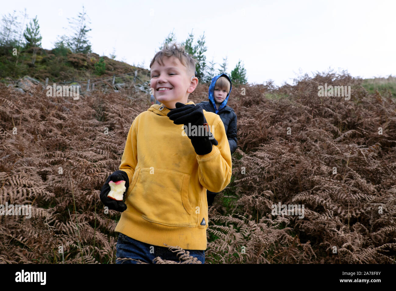 Lächelnder lachender Junge in gelbem Kapuzenpullover, der Apfelfreunde Kinder isst Wandern in der Landschaft in Bracken mit Freund im Herbst in WALES UK KATHY DEWITT Stockfoto