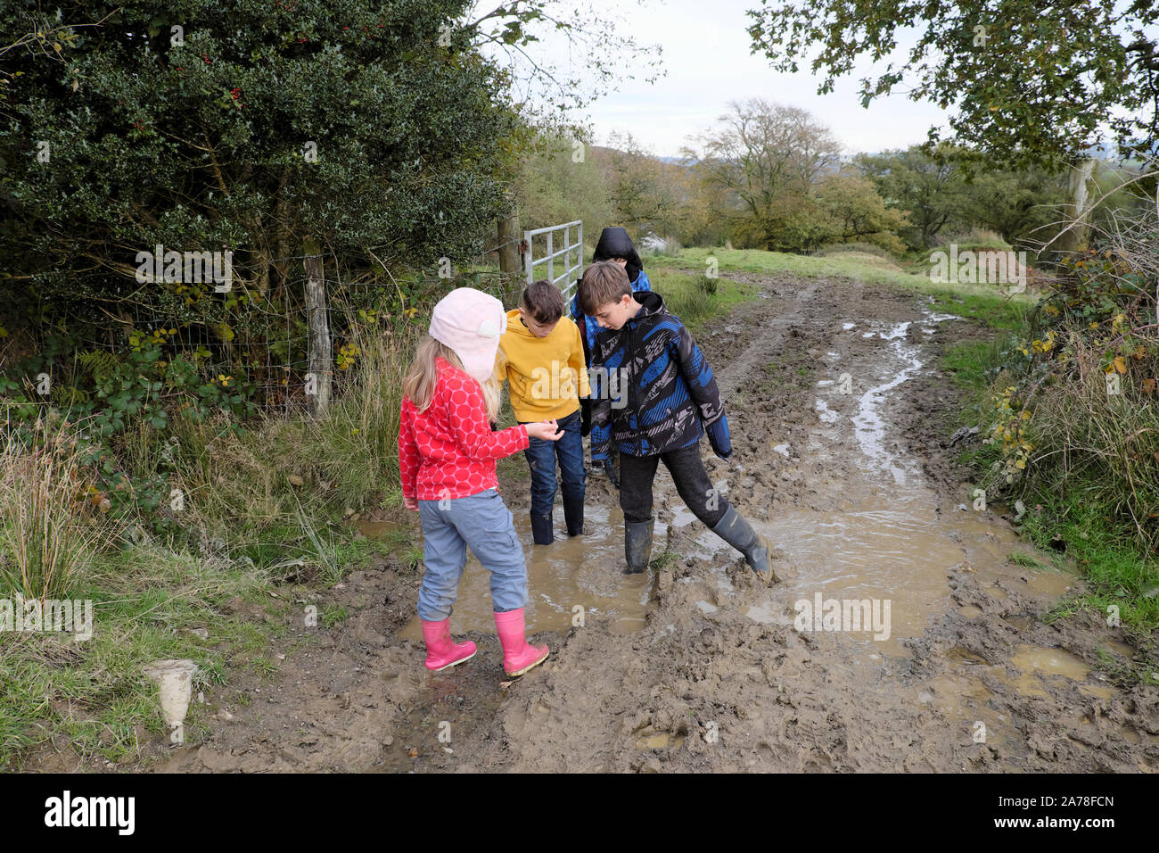 Familie Kinder Wandern in der Natur in den Zeugnisferien Pause im Herbst in Carmarthenshire Wales UK KATHY DEWITT Stockfoto