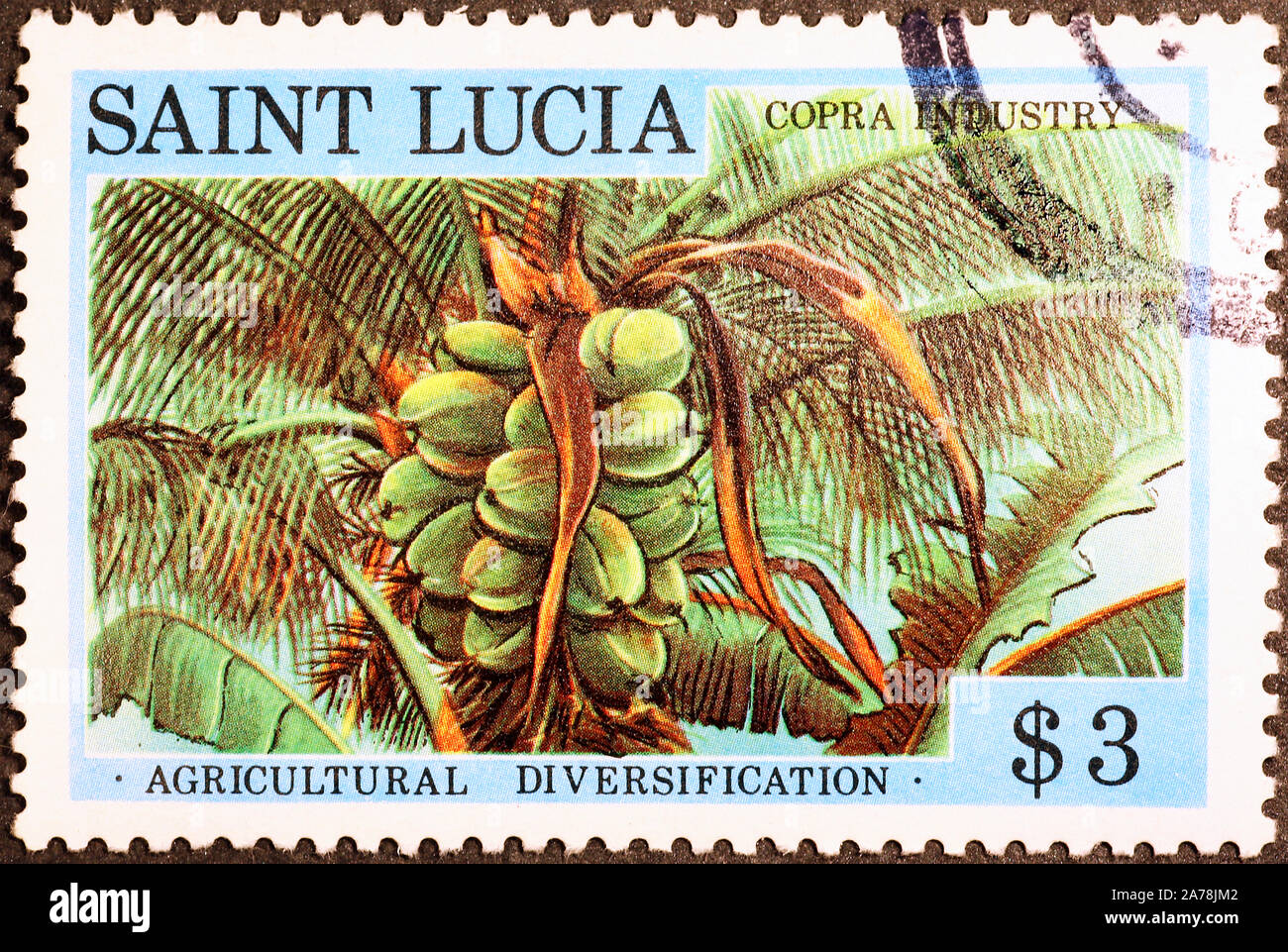 Kokosnüsse auf dem Baum auf Briefmarke von Saint Lucia Stockfoto