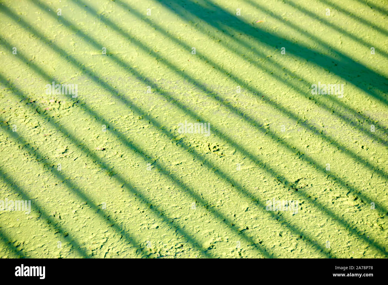 Zusammenfassung Hintergrund Grün lackierte Oberfläche mit diagonalen Schatten Stockfoto