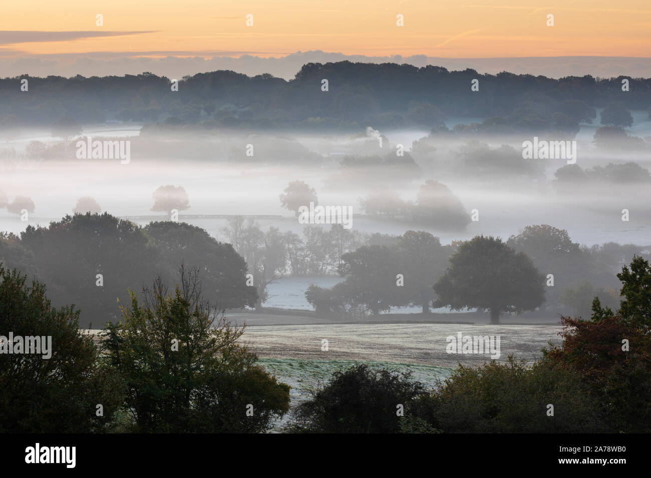 Misty High Weald Landschaft bei Sonnenaufgang, Burwash, East Sussex, England, Vereinigtes Königreich, Europa Stockfoto