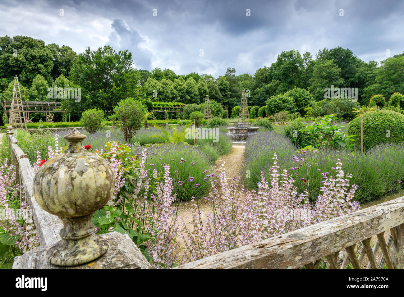 Frankreich, Loiret, Chilleurs Aux Bois, Chateau de Chamerolles Park und Gärten, die Jardin Renaissance, von dem Platz mit Lavendel (Lavandula) und p Stockfoto