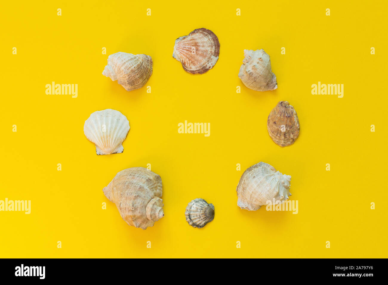 Vielzahl von Muscheln auf gelbem Hintergrund, Sommer Meer Hintergrund, Platz für Text in einem Kreis, flach Stockfoto