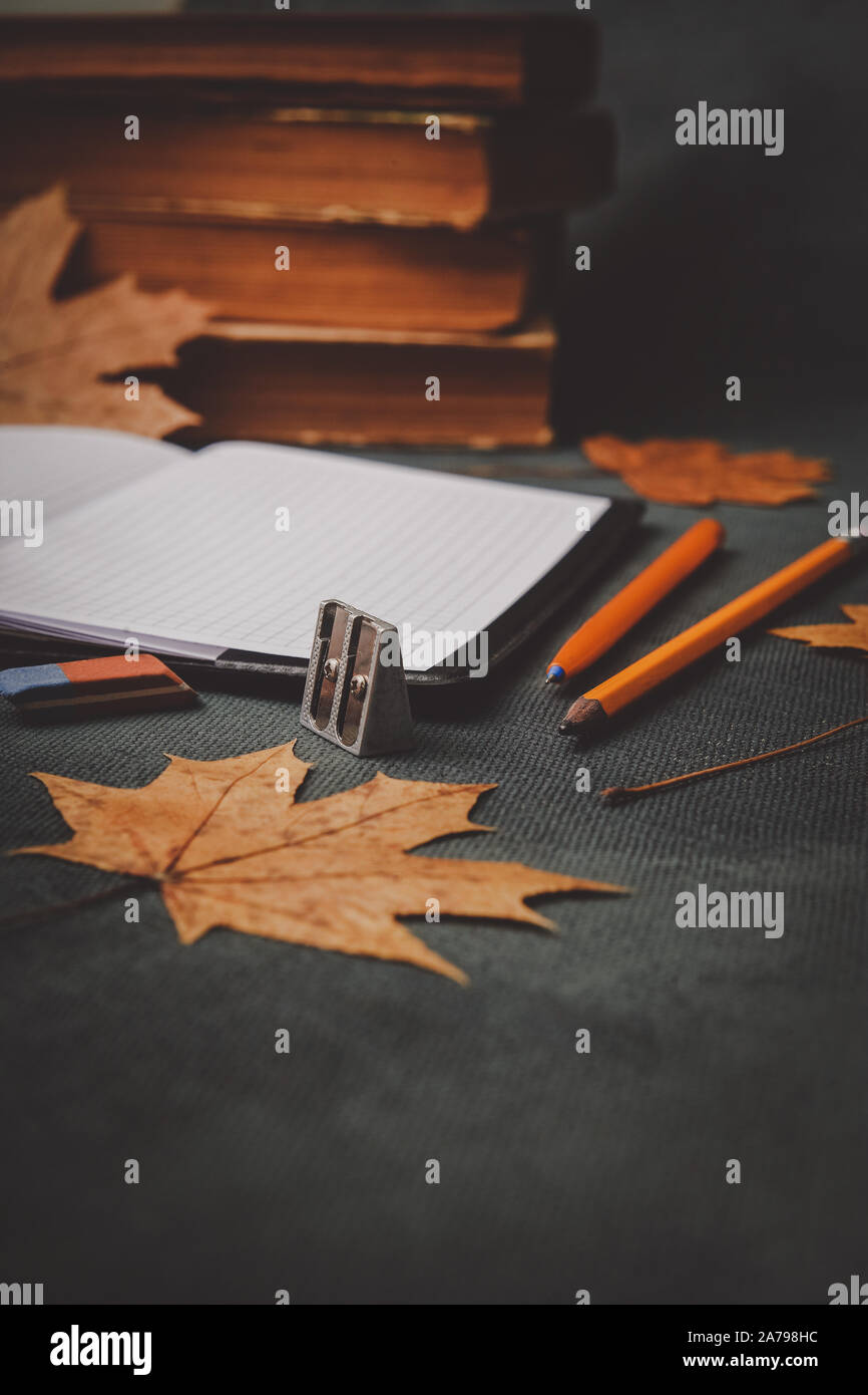 Bücher, Notebook, Stifte zum Zeichnen mit Blätter im Herbst Stockfoto