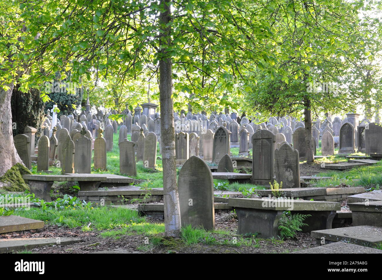 Frühling in Haworth Parsonage Friedhof, Bronte Country Stockfoto