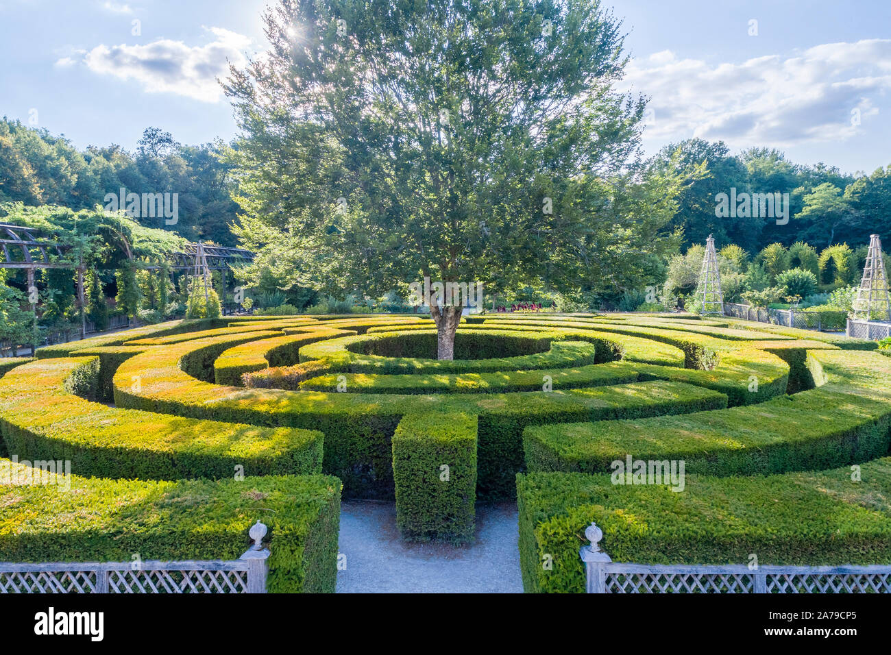 Frankreich, Loiret, Chilleurs Aux Bois, Chateau de Chamerolles Park und Gärten, das Schloss und den Jardin Renaissance, Labyrinth aus Hecken Eiben (Taxus b Stockfoto