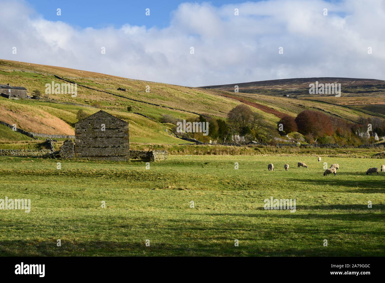 Blick auf den Yorkshire Dales National Park Stockfoto